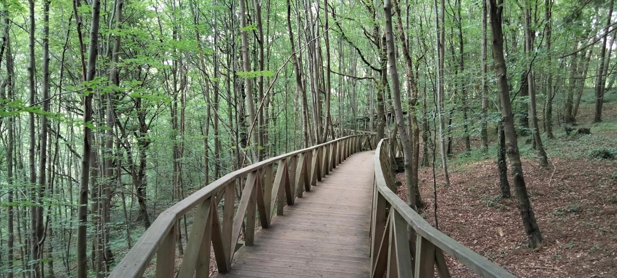 El Mirador Del Valle, A 9 Min De โกมิญาส ภายนอก รูปภาพ
